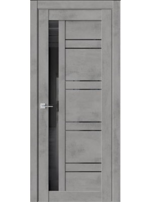 Дверь Порта P42